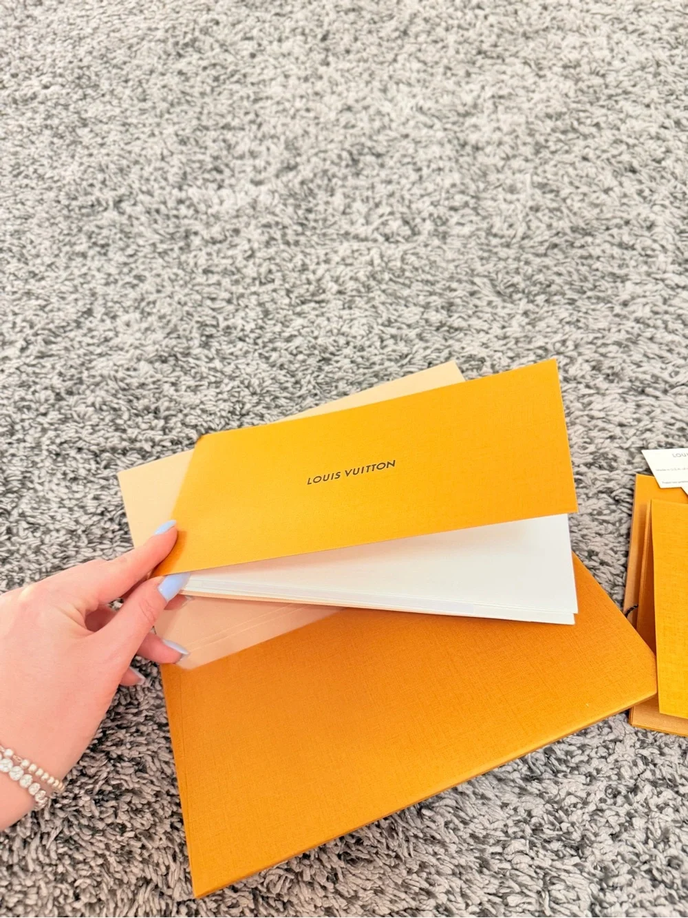 Louis Vuitton authentic louis